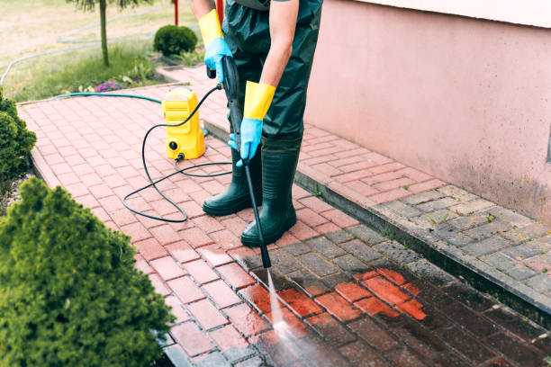 Best Roof Pressure Washing  in Citrus, CA